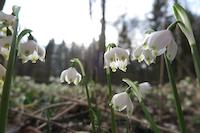 Frühling im Landkreis Roth